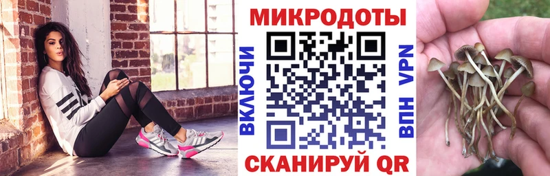 hydra рабочий сайт Юрьевец Галлюциногенные грибы GOLDEN TEACHER